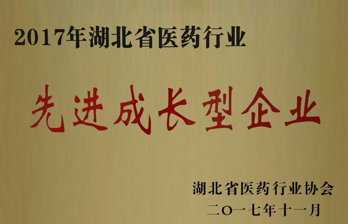 東信藥業(yè)榮獲“湖北省醫(yī)藥行業(yè)先進(jìn)成長(zhǎng)型企業(yè)”，“混合脂肪酸甘油酯...