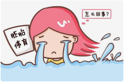 好好的胚胎怎么就停育了呢？