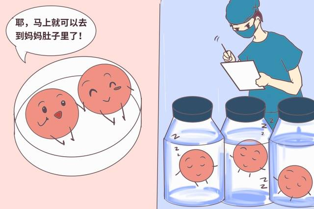 哪些胚胎可用于移植？了解下！