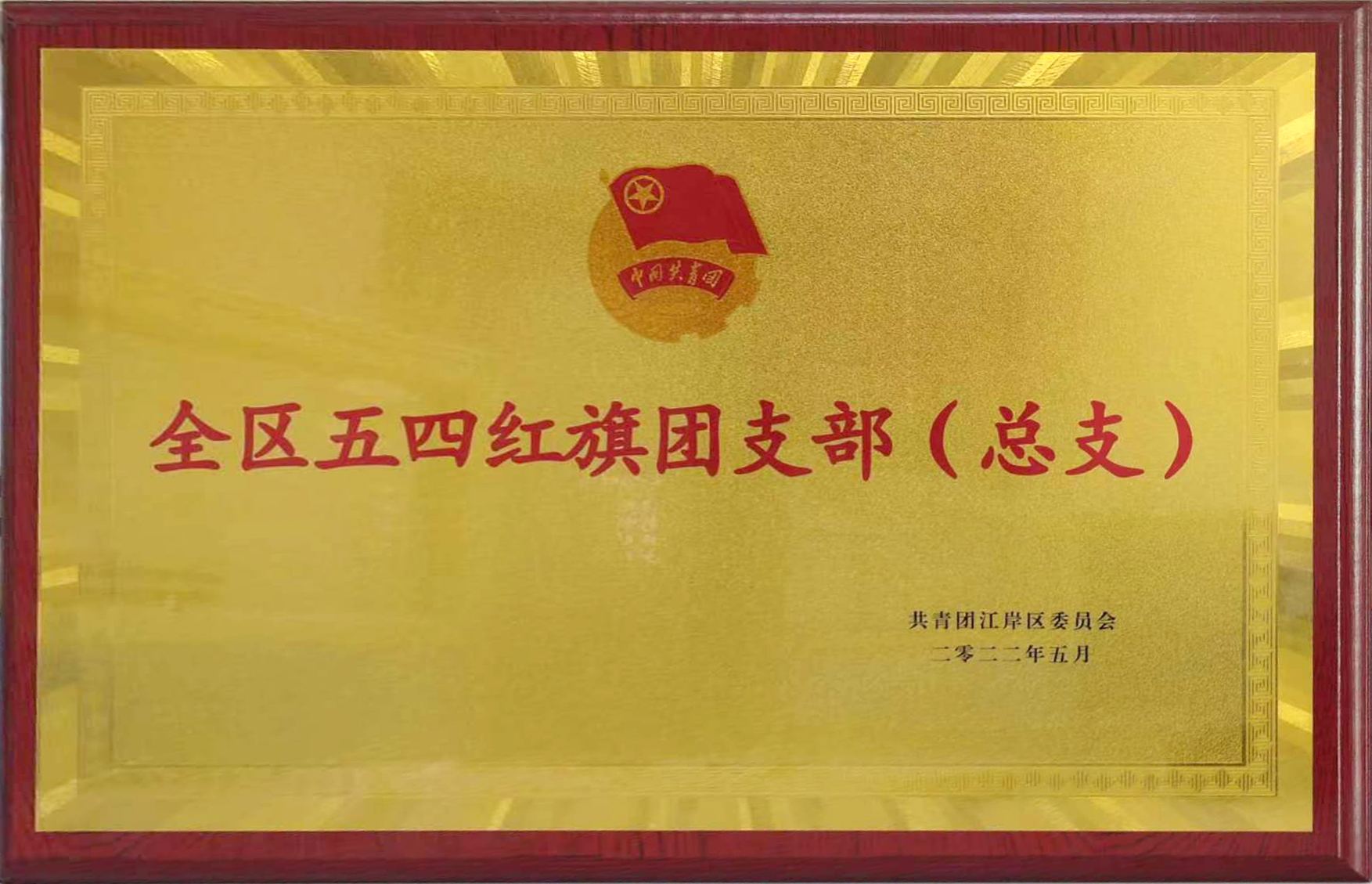 共青團成立100周年之際，東信醫(yī)藥團支部喜獲武漢市江岸區(qū)“全區(qū)五...